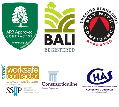 Bawden Tree Care Accreditations